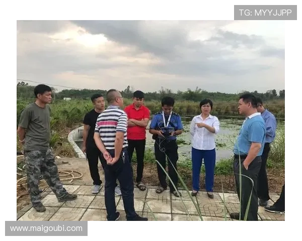 凯时官方游戏版本更新内容及维护公告及时掌握最新动态 凯时官方游戏版本更新内容及维护公告及时掌握最新动态