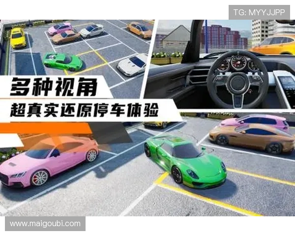 星空体育平台官网入口官方入口地址及访问安全性分析