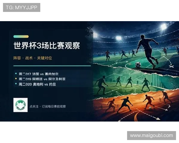 2026年法国与塞内加尔世界杯比赛可能面临的安全风险及应对策略建议